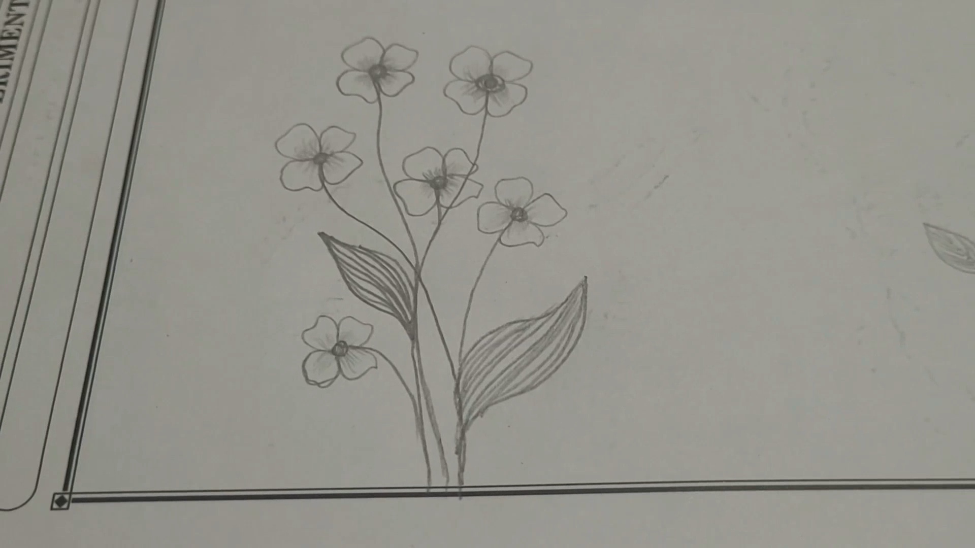 VideoCapture_20260912-213240.jpg