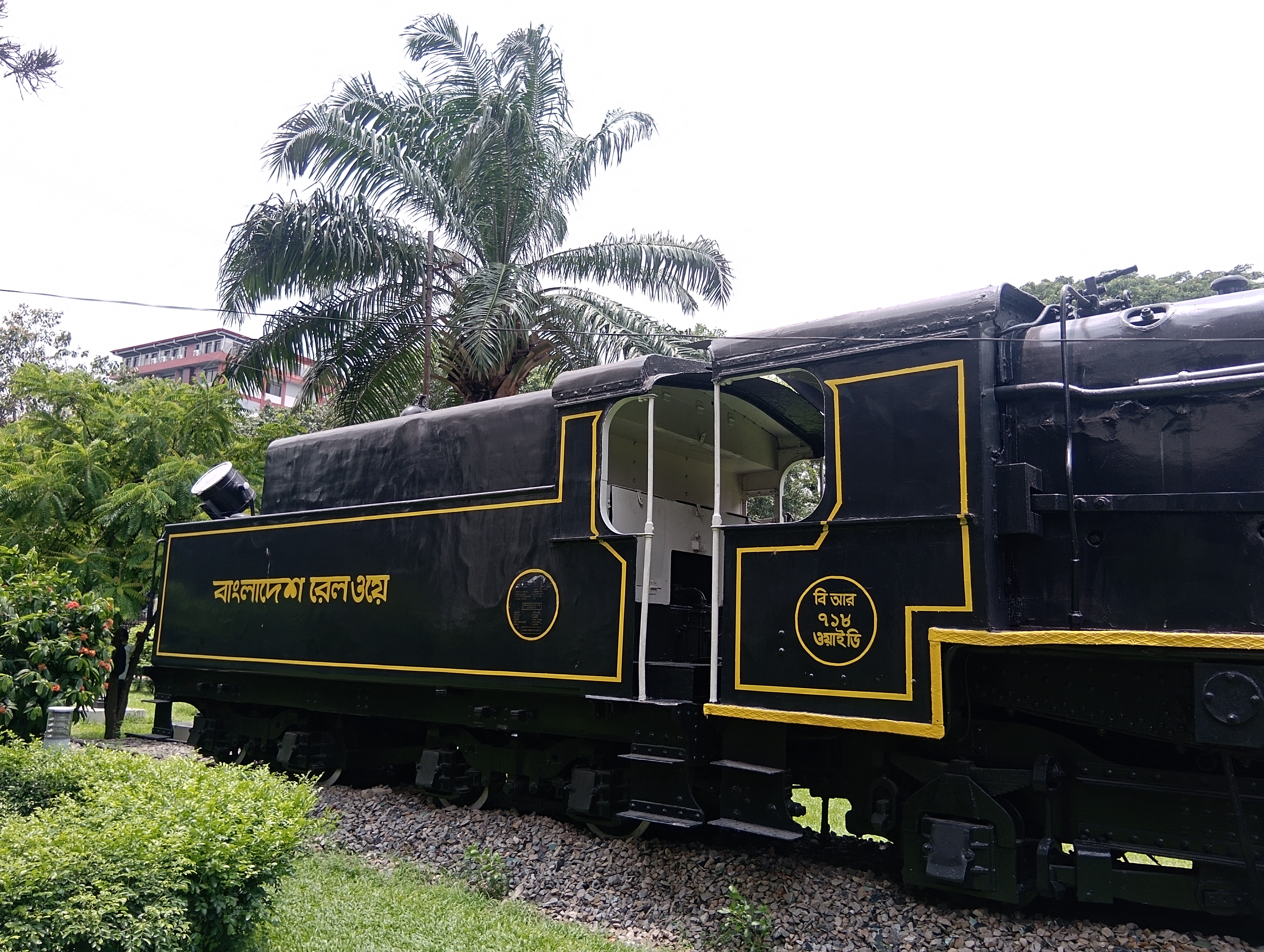 1000083493.jpg