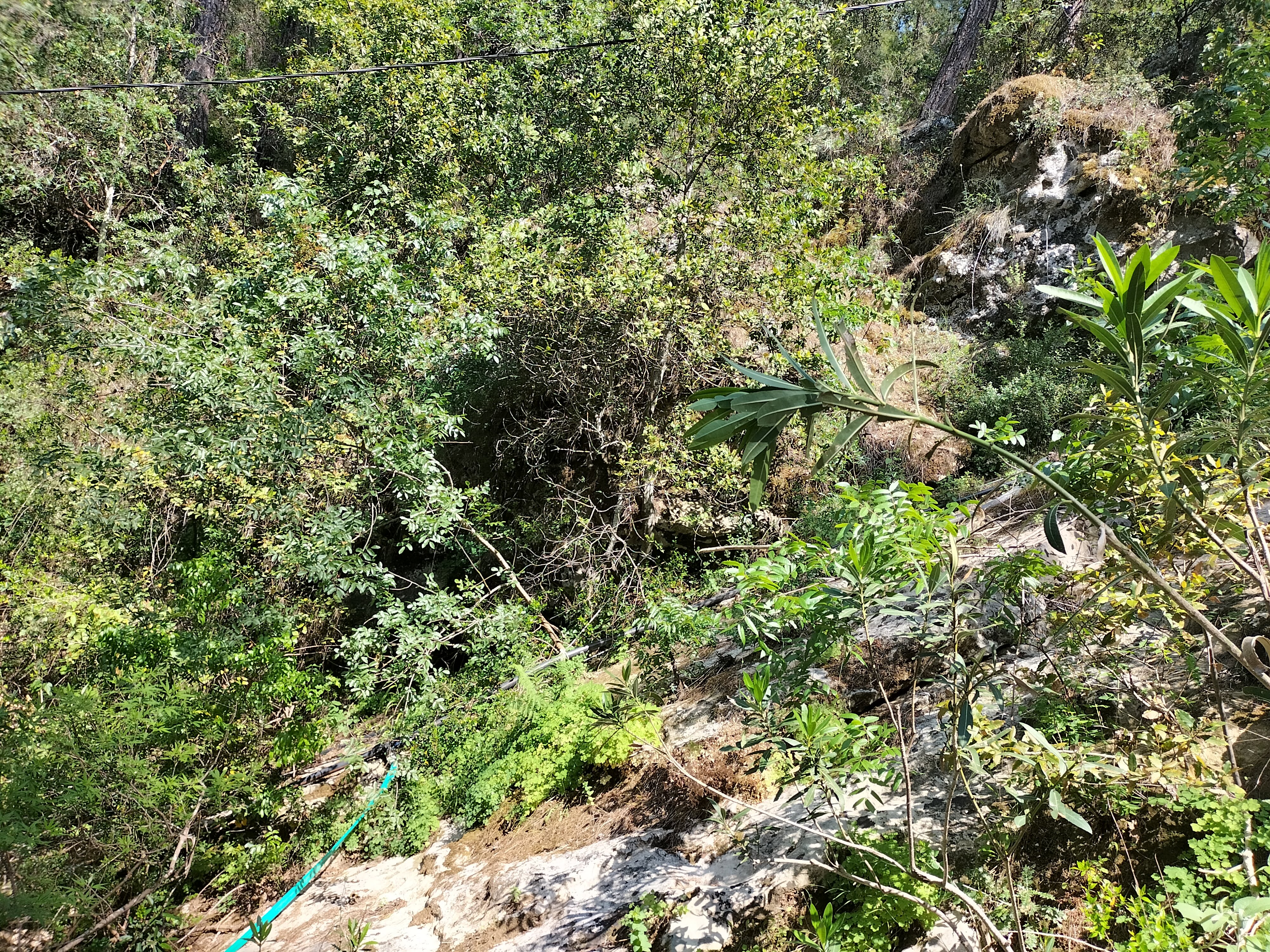IMG20220520153314.jpg
