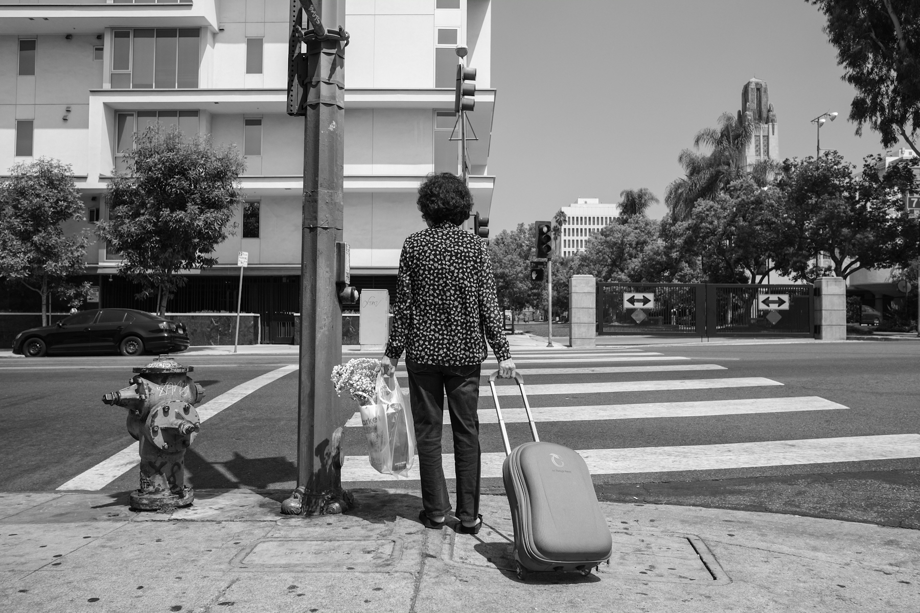 DSCF9666.jpg