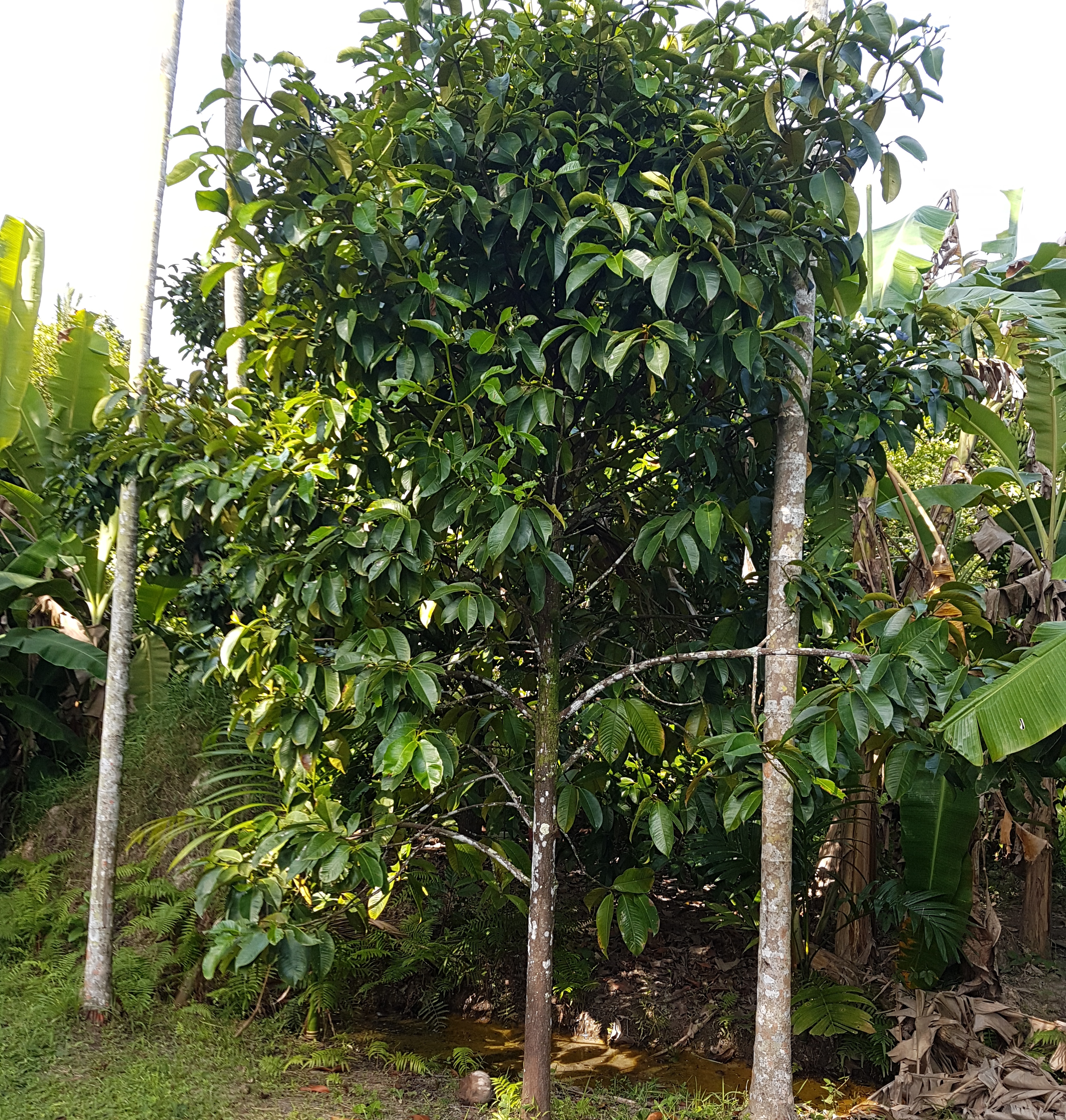 20180722_163838.jpg