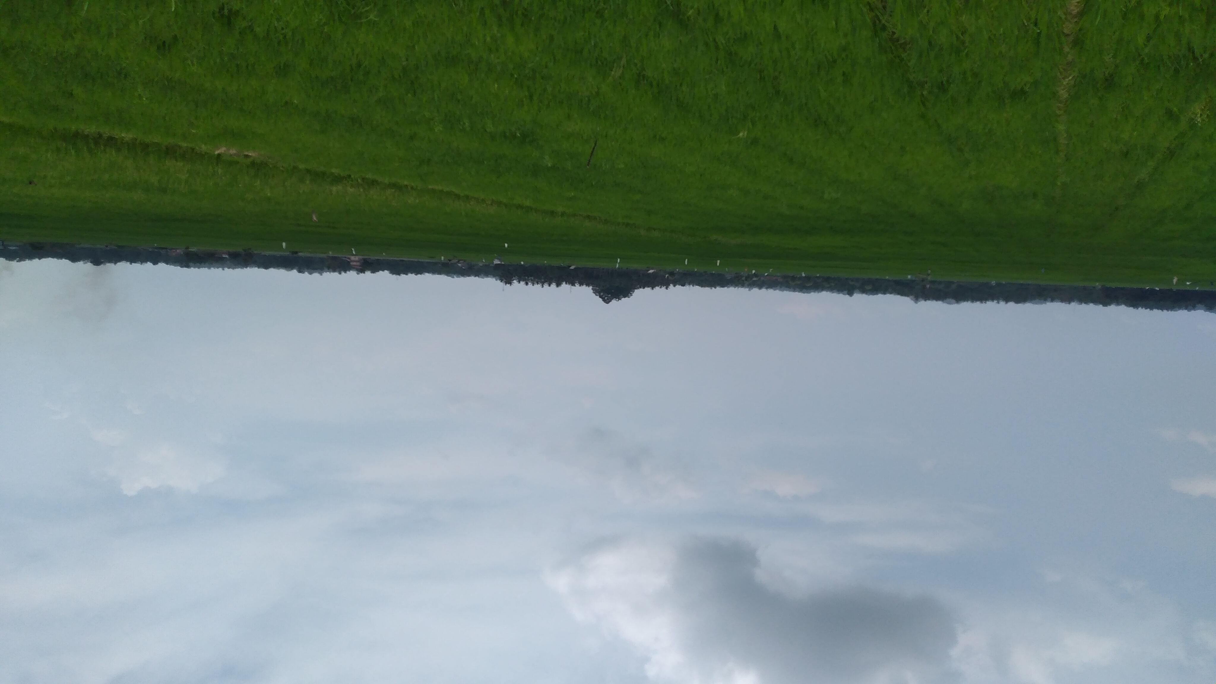 20240326_115948.jpg
