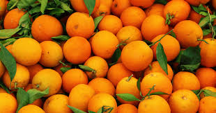 images (7).jpeg