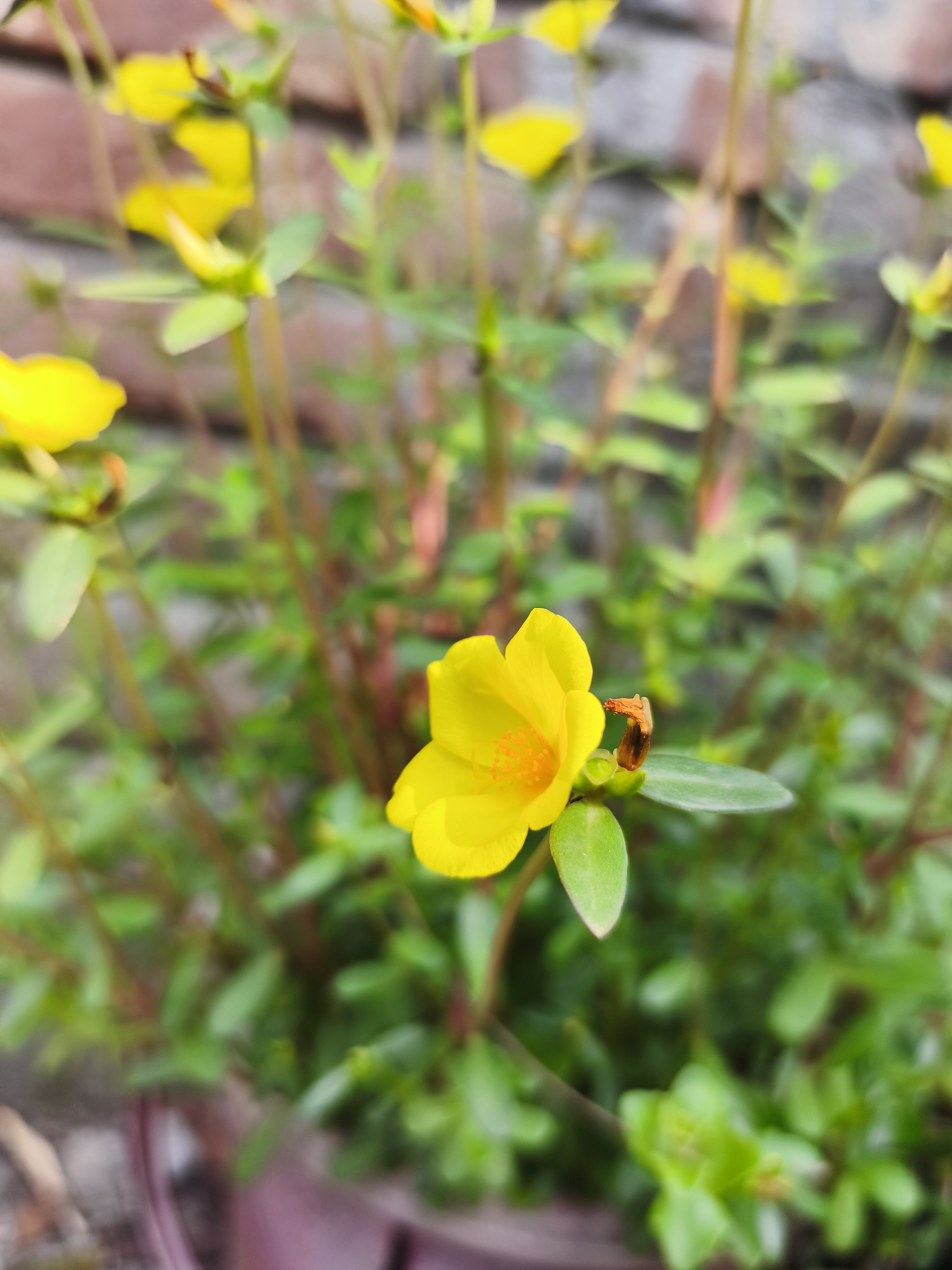 IMG_20260601_083425.jpg