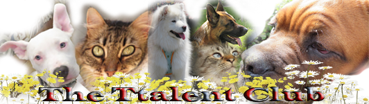perros_gatos.png