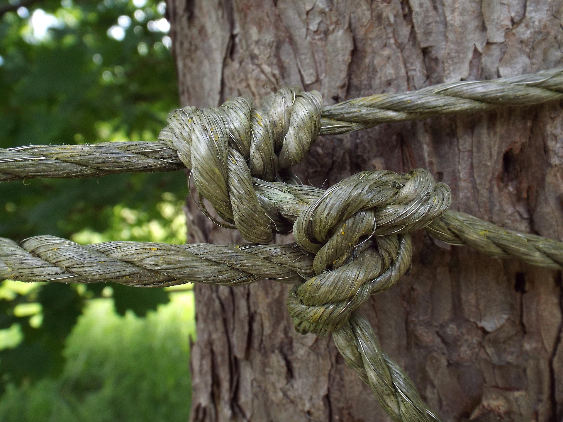 444-Festhalten-Seil-Knoten_Pixabay-pumukel-rope-1505176_1920.jpg