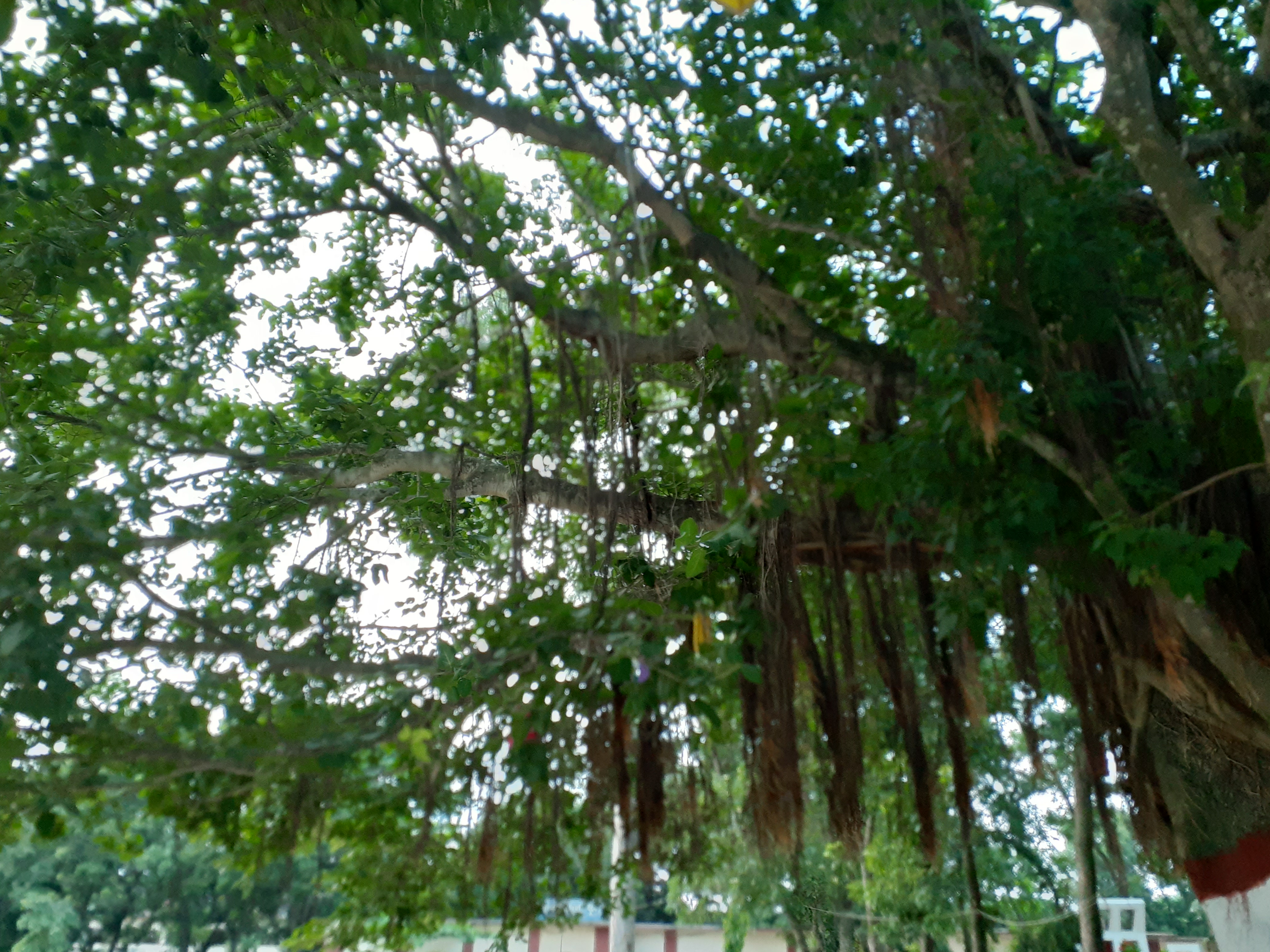 20190605_182938.jpg