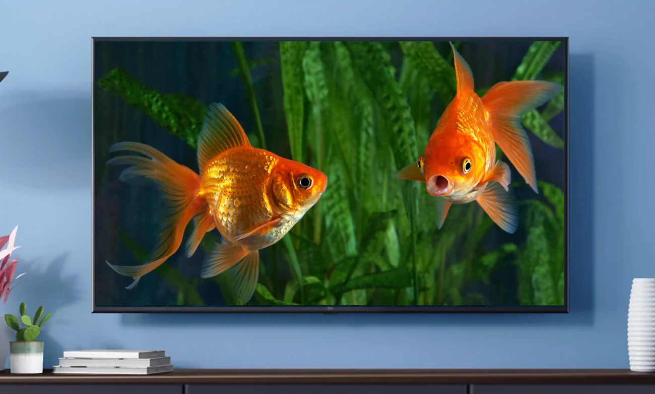 Fishy TV.jpg