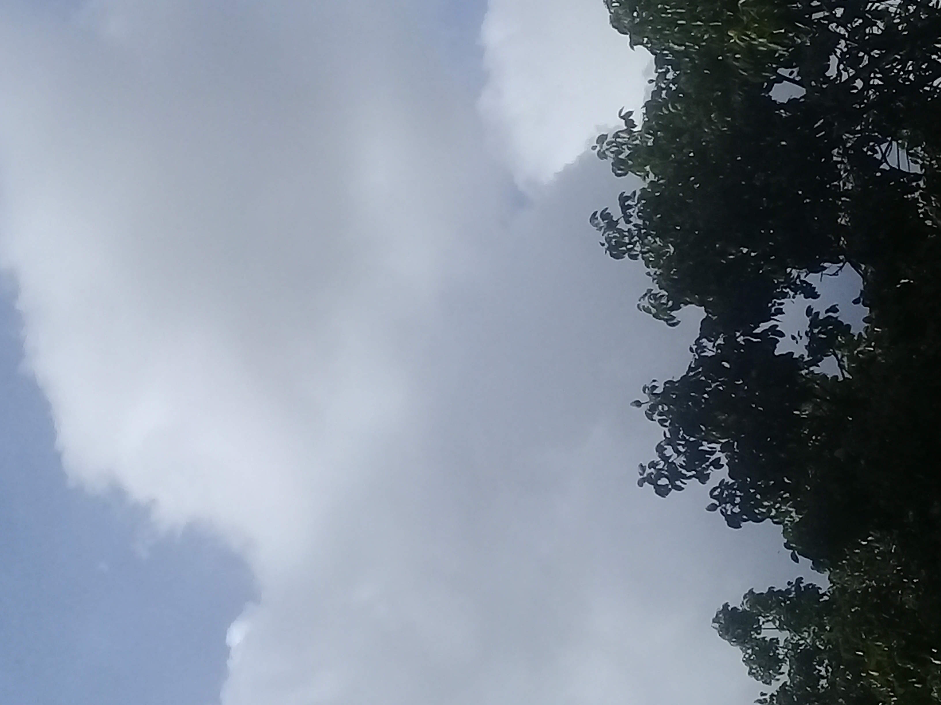 20210708_160641.jpg