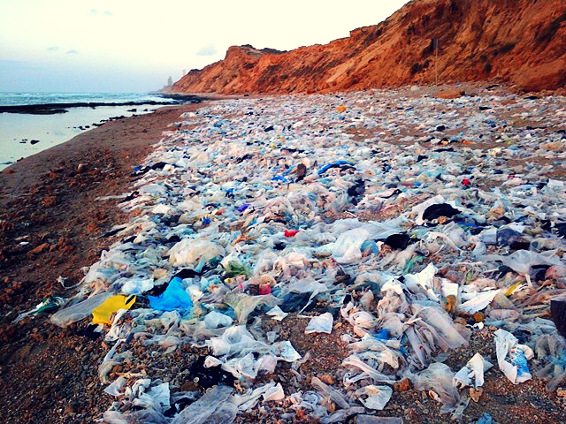 canva-photo-editor (27).png