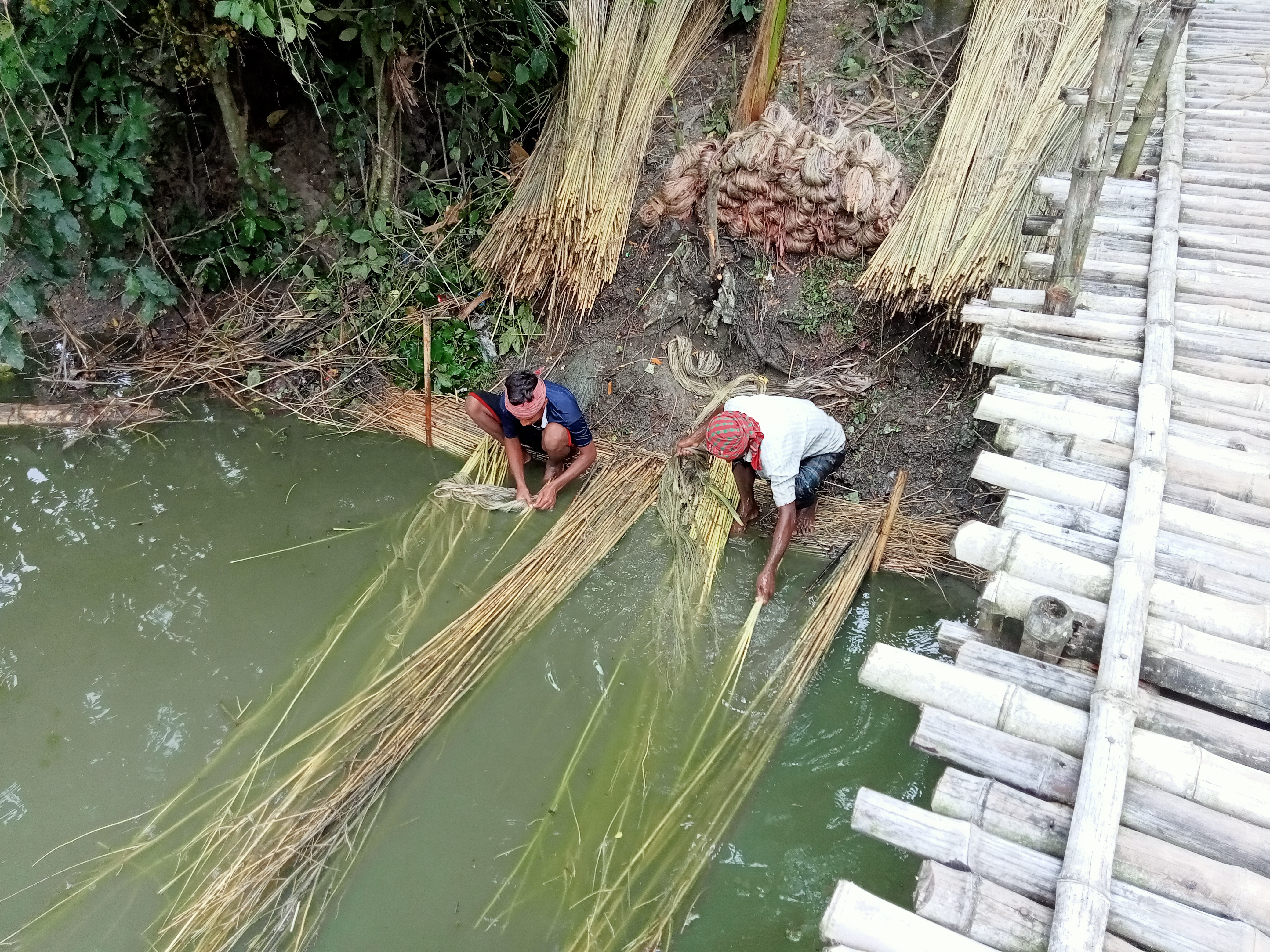 IMG20230920101750.jpg