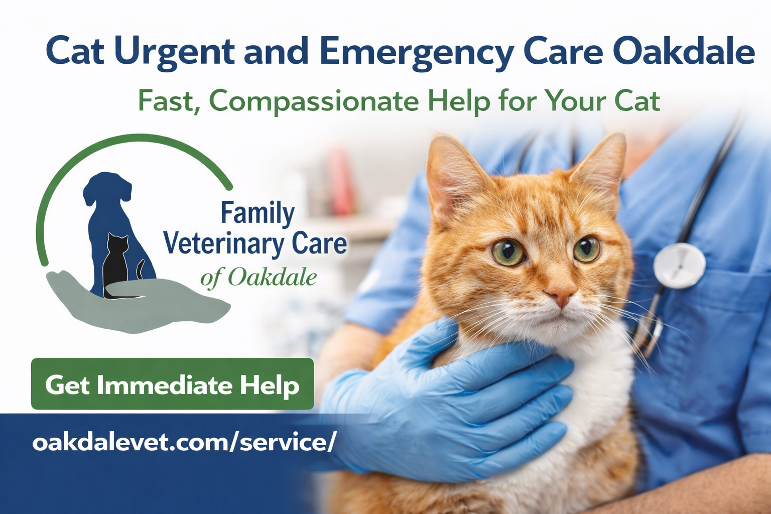 cat care.png