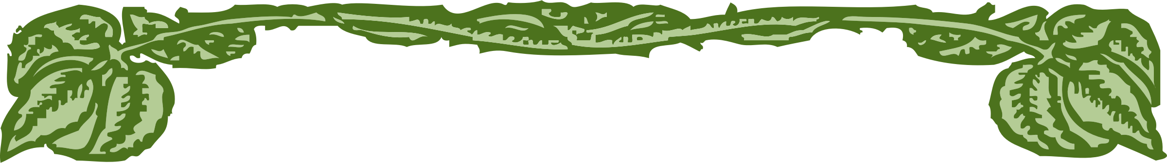 johnny-automatic-leaf-border.png
