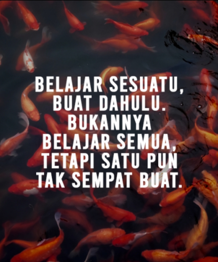 25 Trend Terbaru  Poster Kata  Kata  Motivasi  Pendidikan 