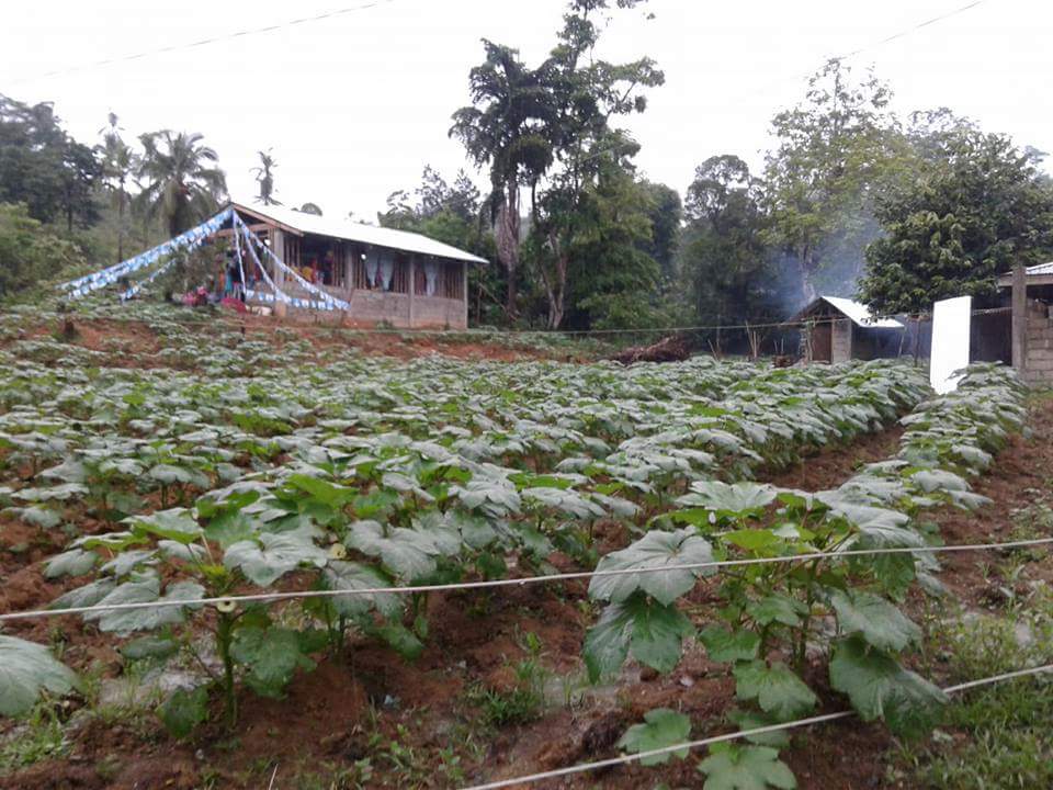received_2079024839040535.jpeg