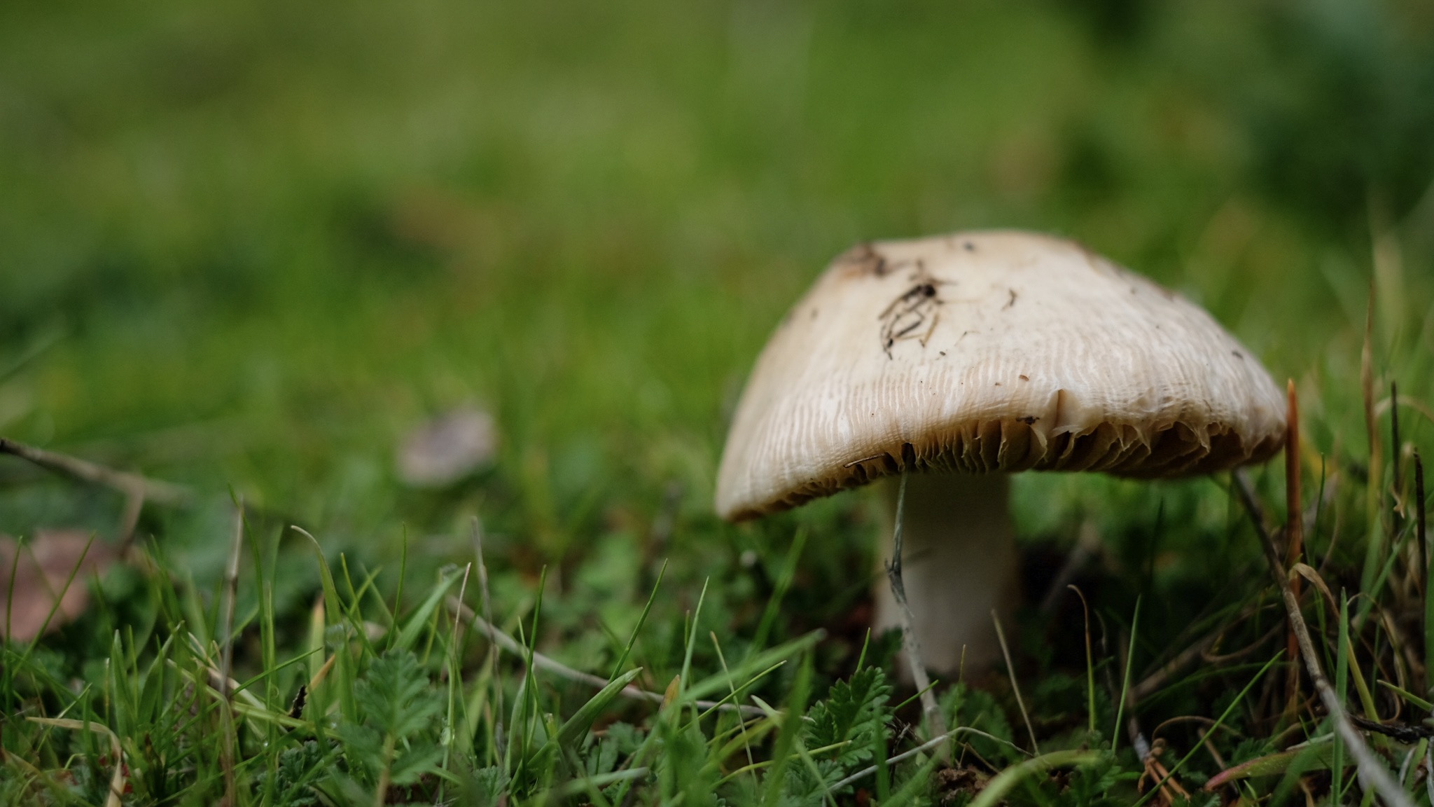 77A556B8-F752-495A-B310-F241D8D28D54.jpeg