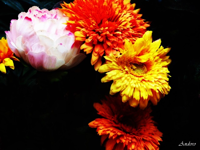 main_image