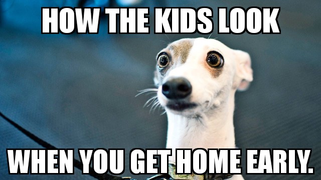 tinydog_messy_house.jpg
