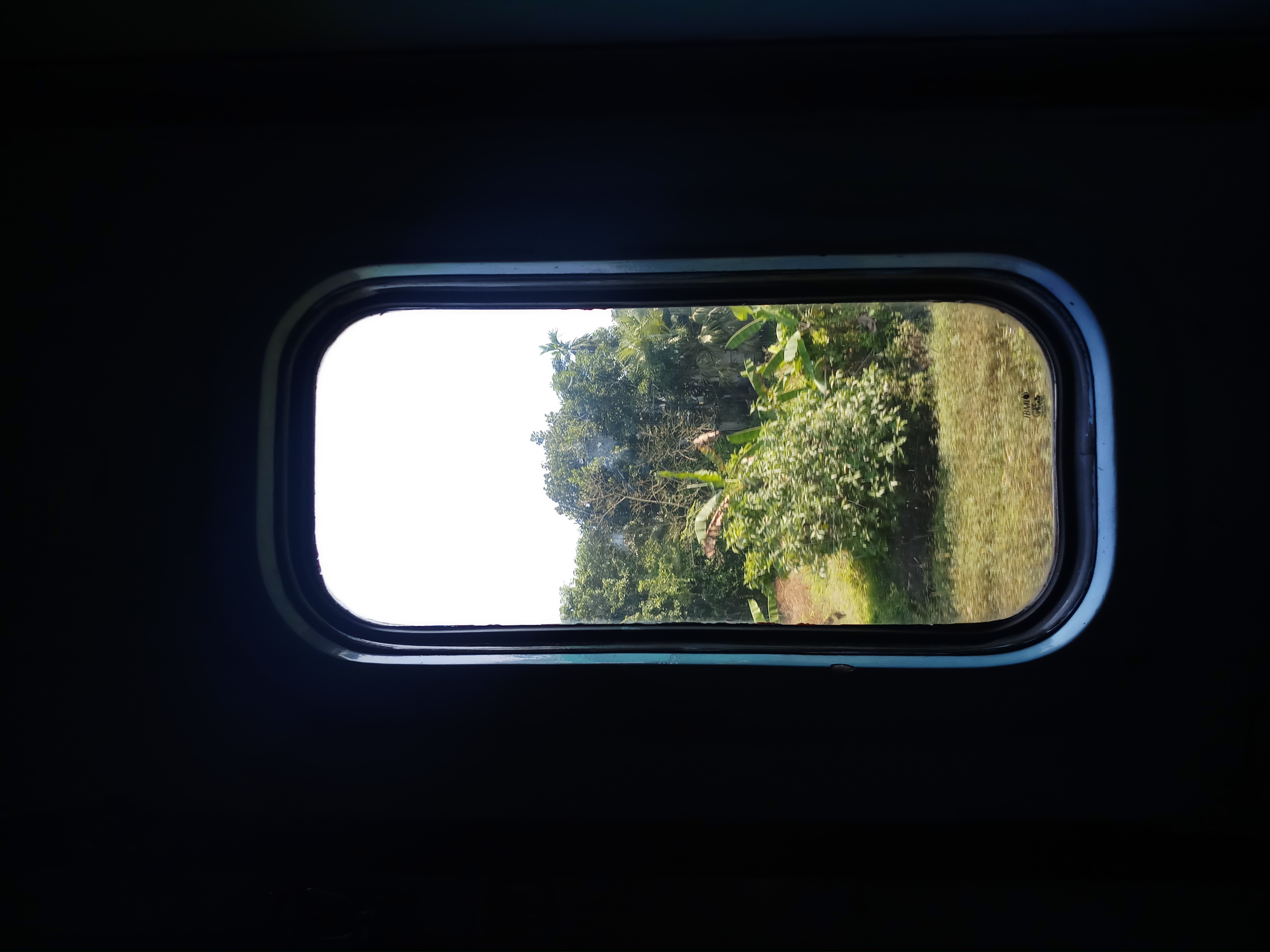 20191101_113148.jpg