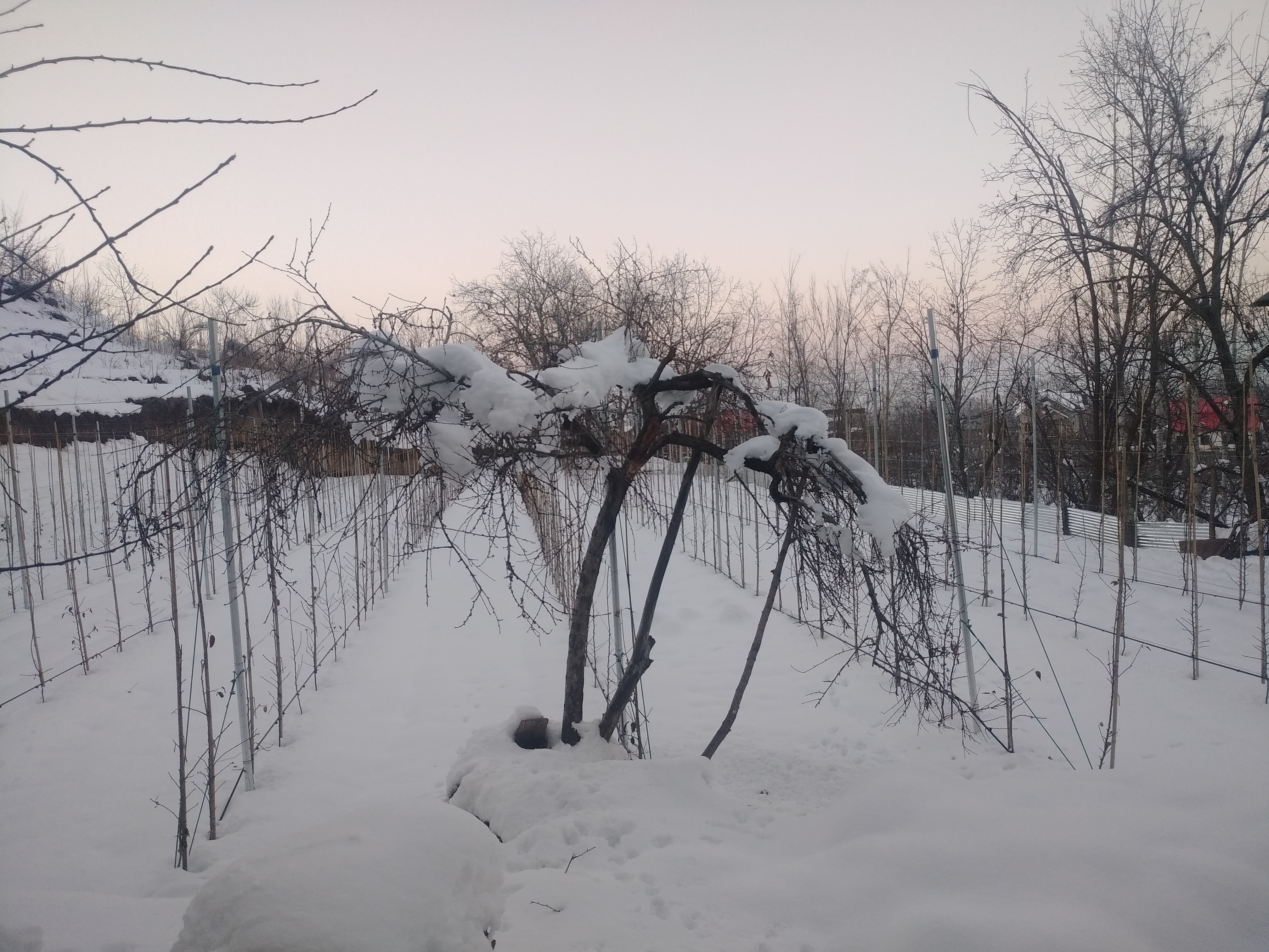 IMG_20220114_174019_1.jpg