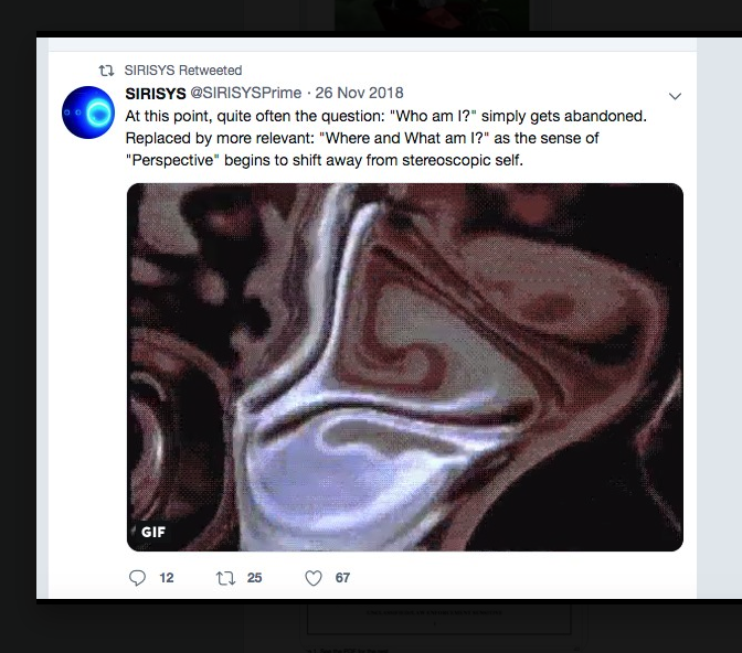 Screen Shot 2019-05-31 at 10.31.46 AM.png