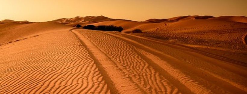 Get To The Bottom (3).png