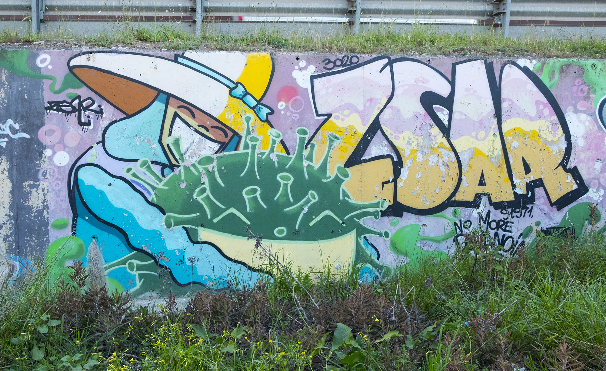 DSCF0287.jpg