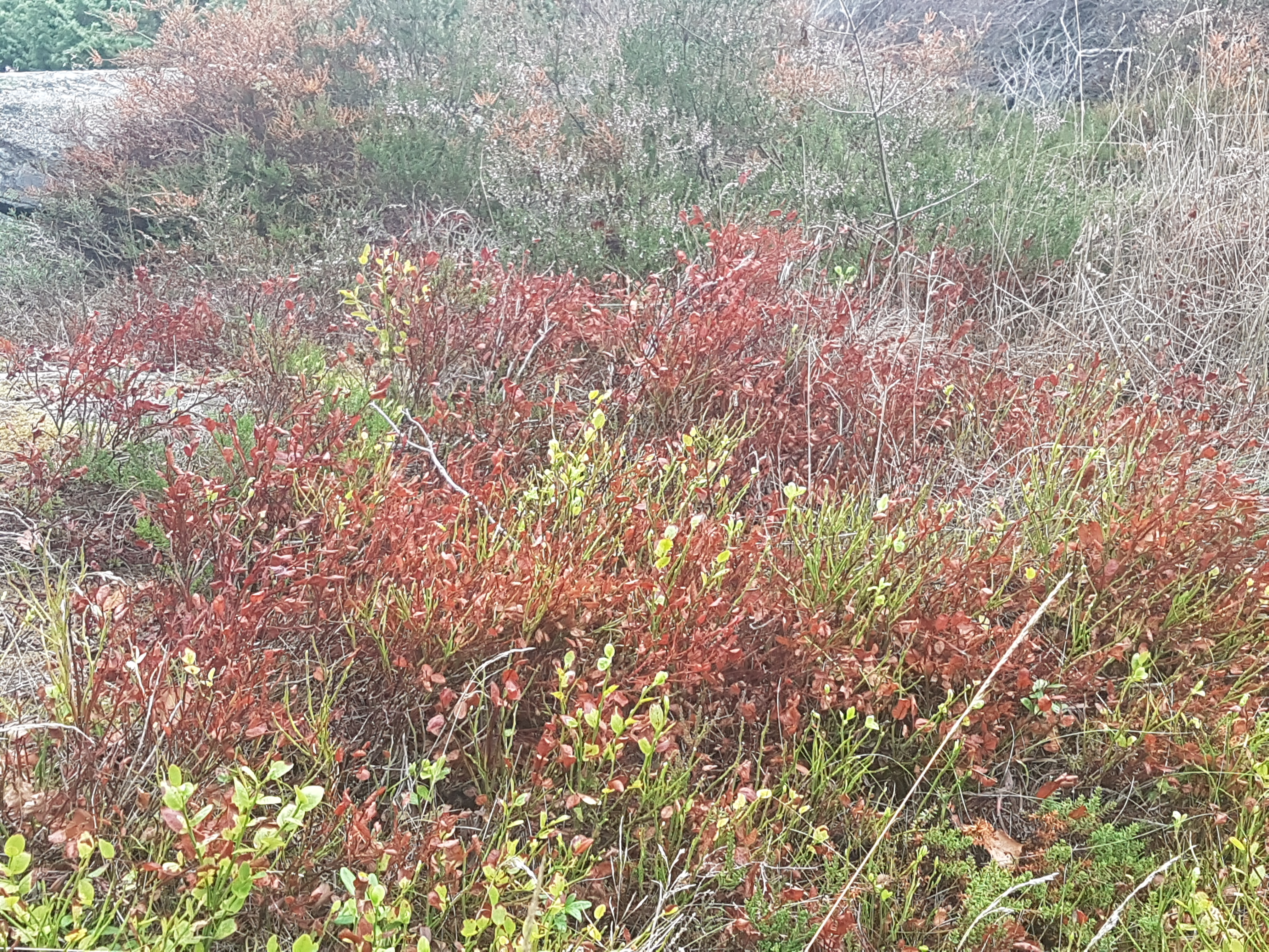 20180831_110218.jpg