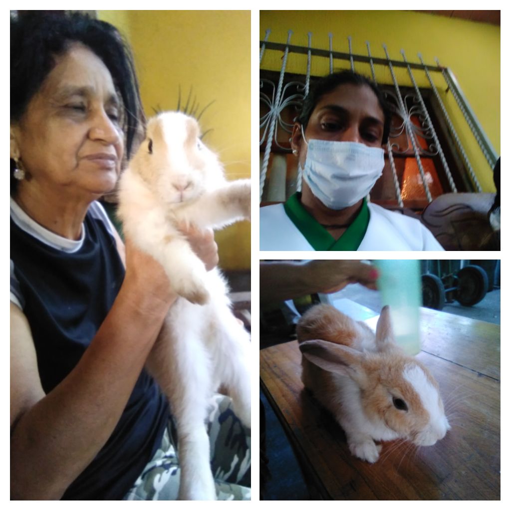 IMG_20210428_073359-COLLAGE.jpg