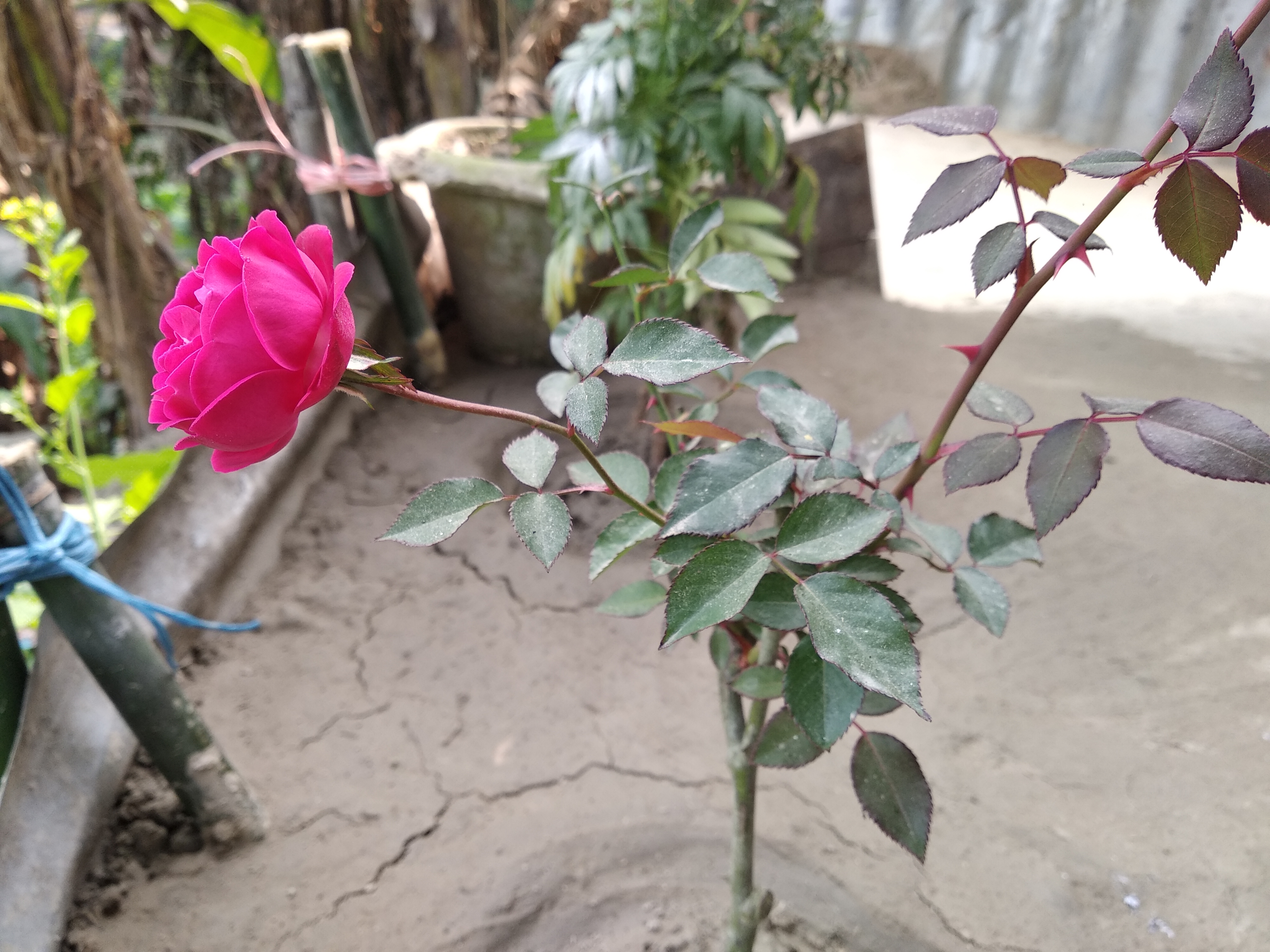 IMG_20190104_135623.jpg