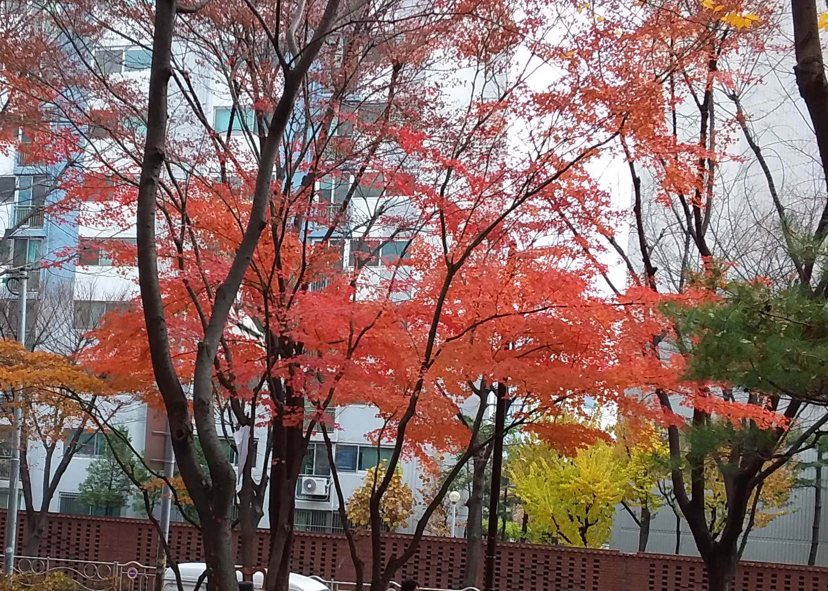 20201117_121938.jpg