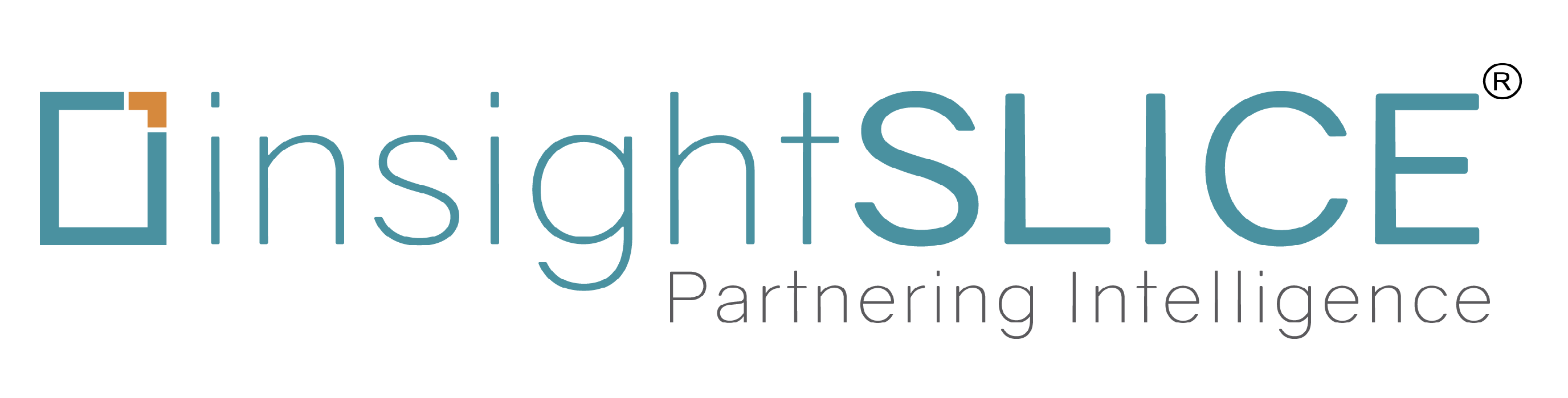 insightslice logo.png