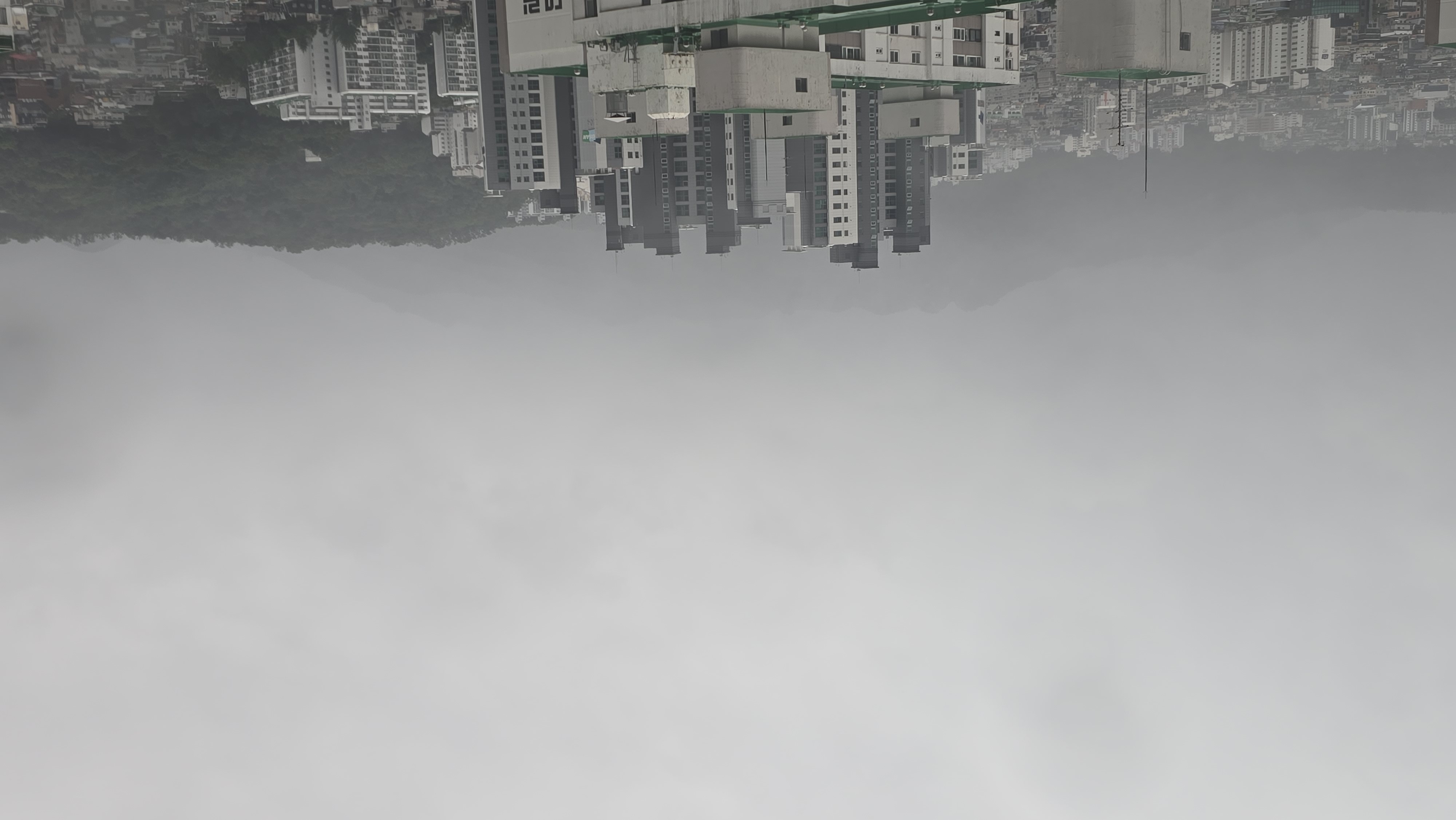 1000165661.jpg