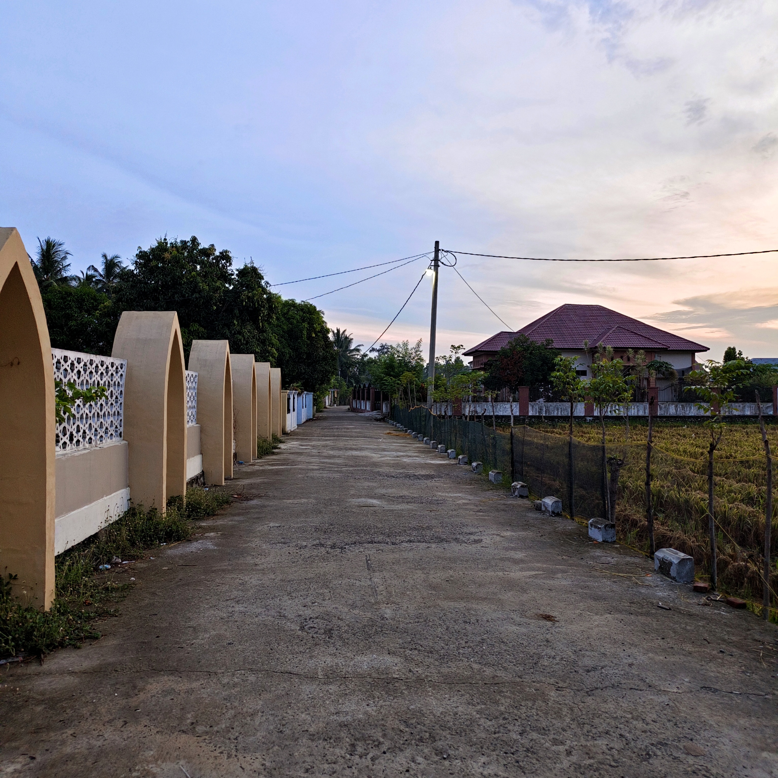 1000319113.jpg
