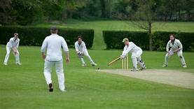 cricket.jpg