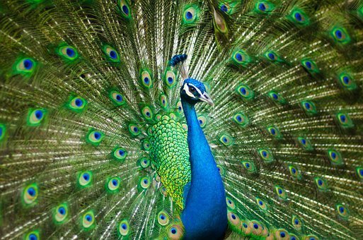 8SzwQc8j2KJZWBXFXnbnQ1FtoZhRqrTWozhqoqWHpGmpmoJCvz8u515VrjN8xLqYy8zFnk4o4S4CwQRQx6gVayAUiTGRaTcWazTESJwyEfuAL6xoGKx.jpeg