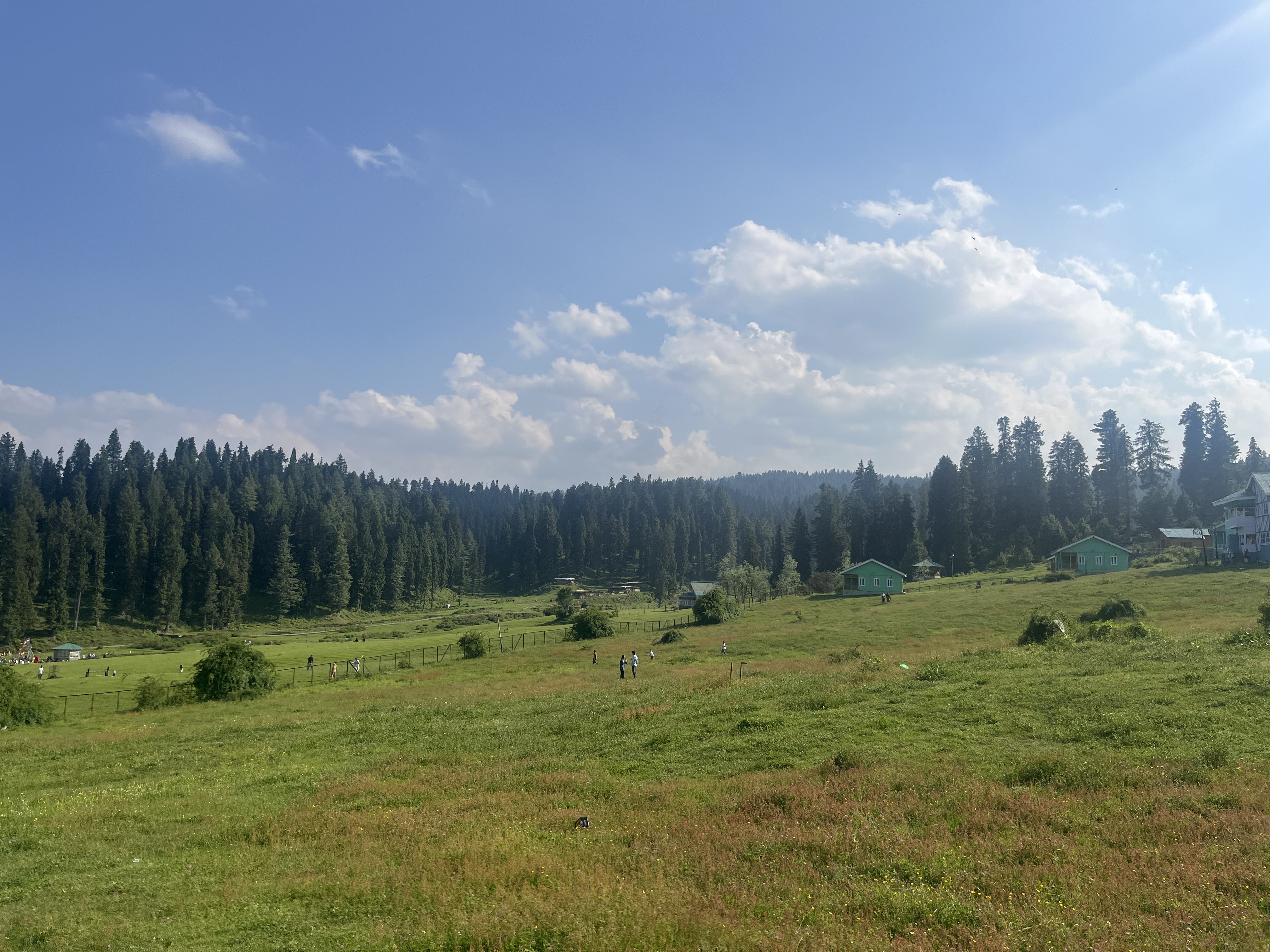 IMG_9675.jpeg
