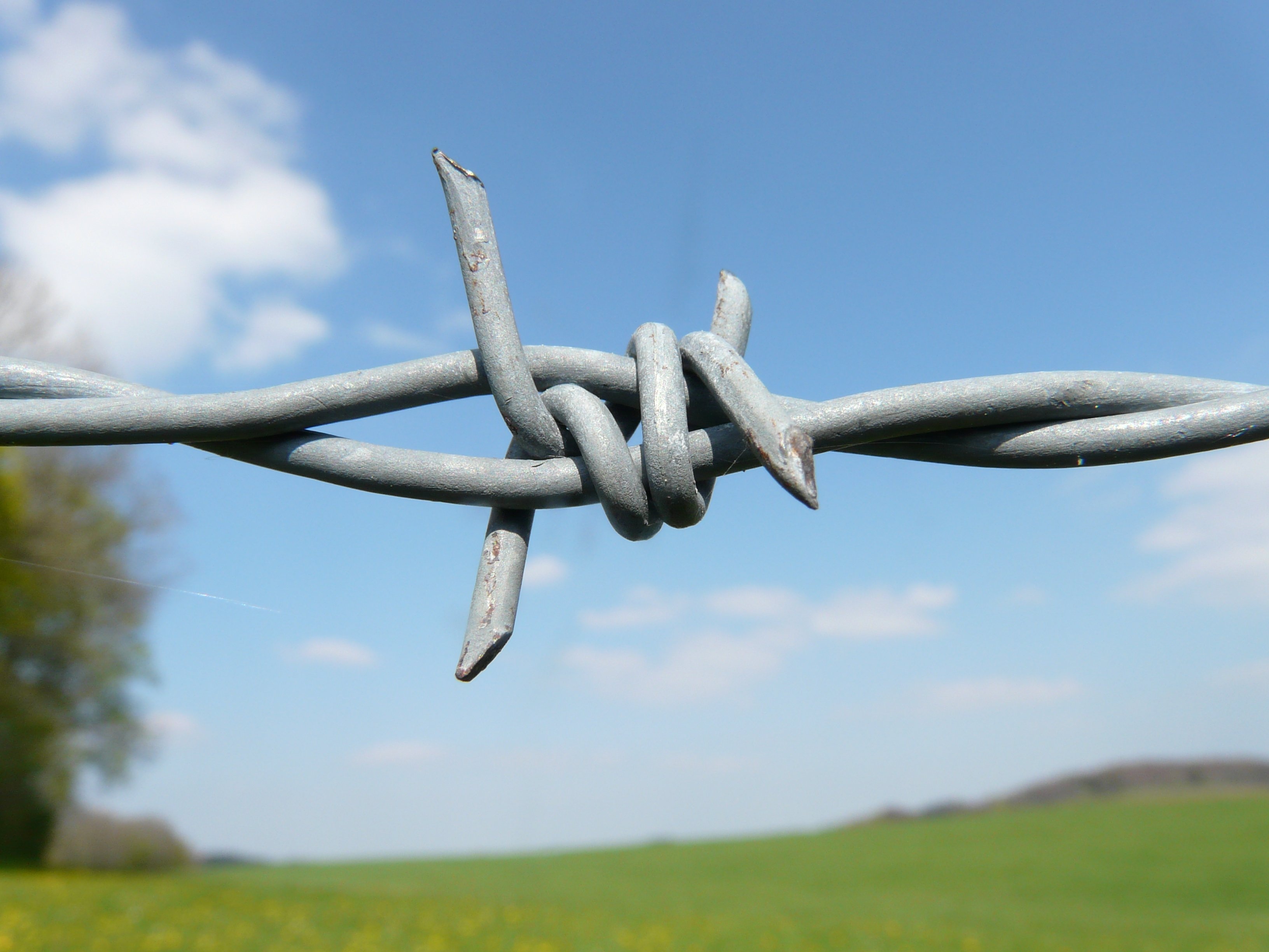 hans-barbed-wire-6904.jpg