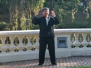 太极随心法 收功.gif