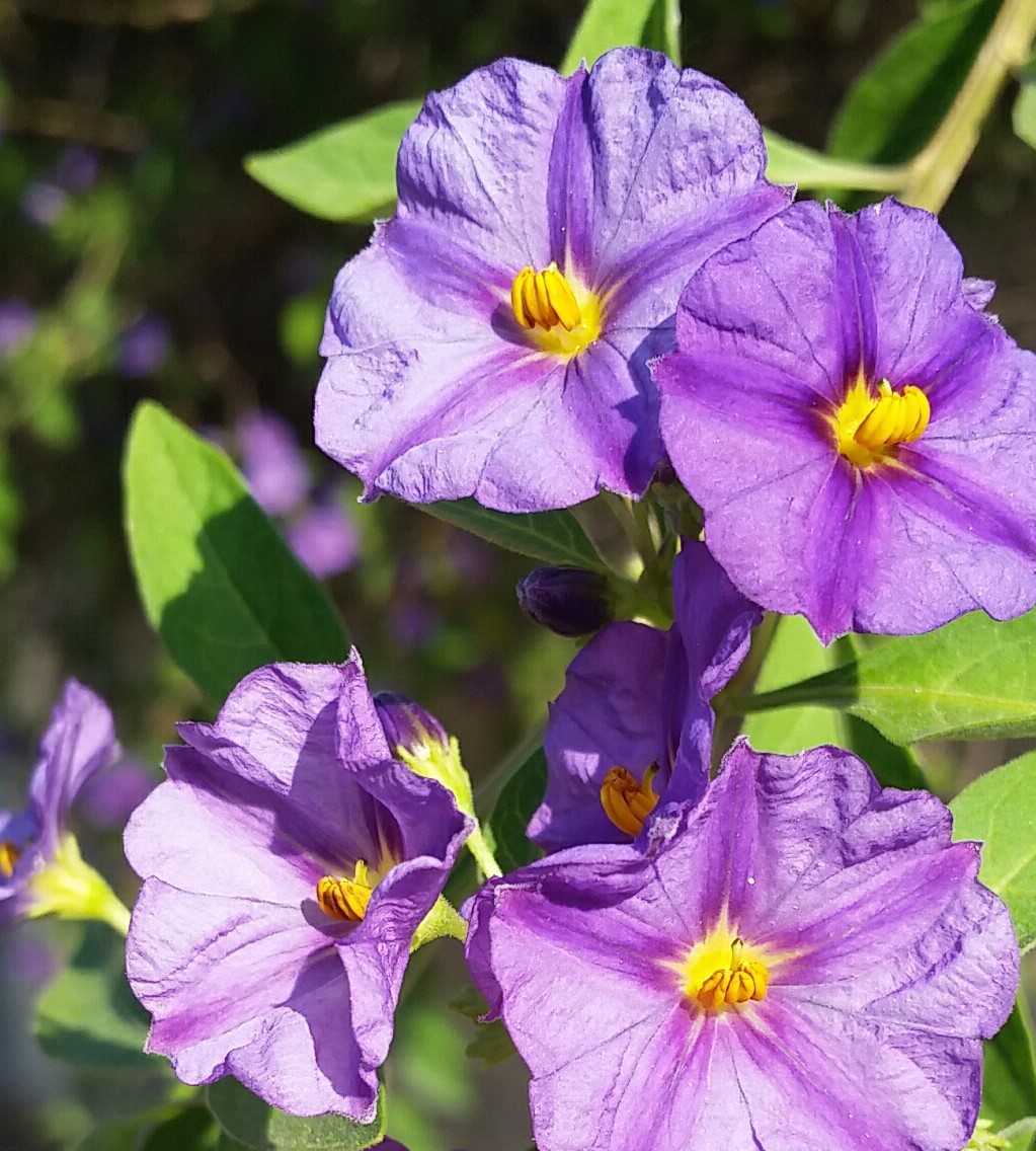 20150705_084635.jpg