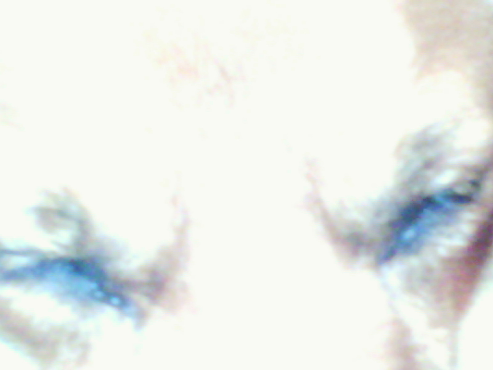 100_0010.JPG