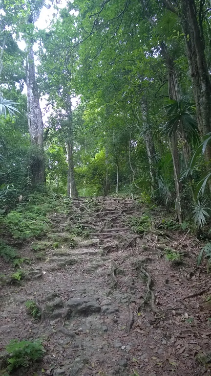 WP_20180302_023.jpg