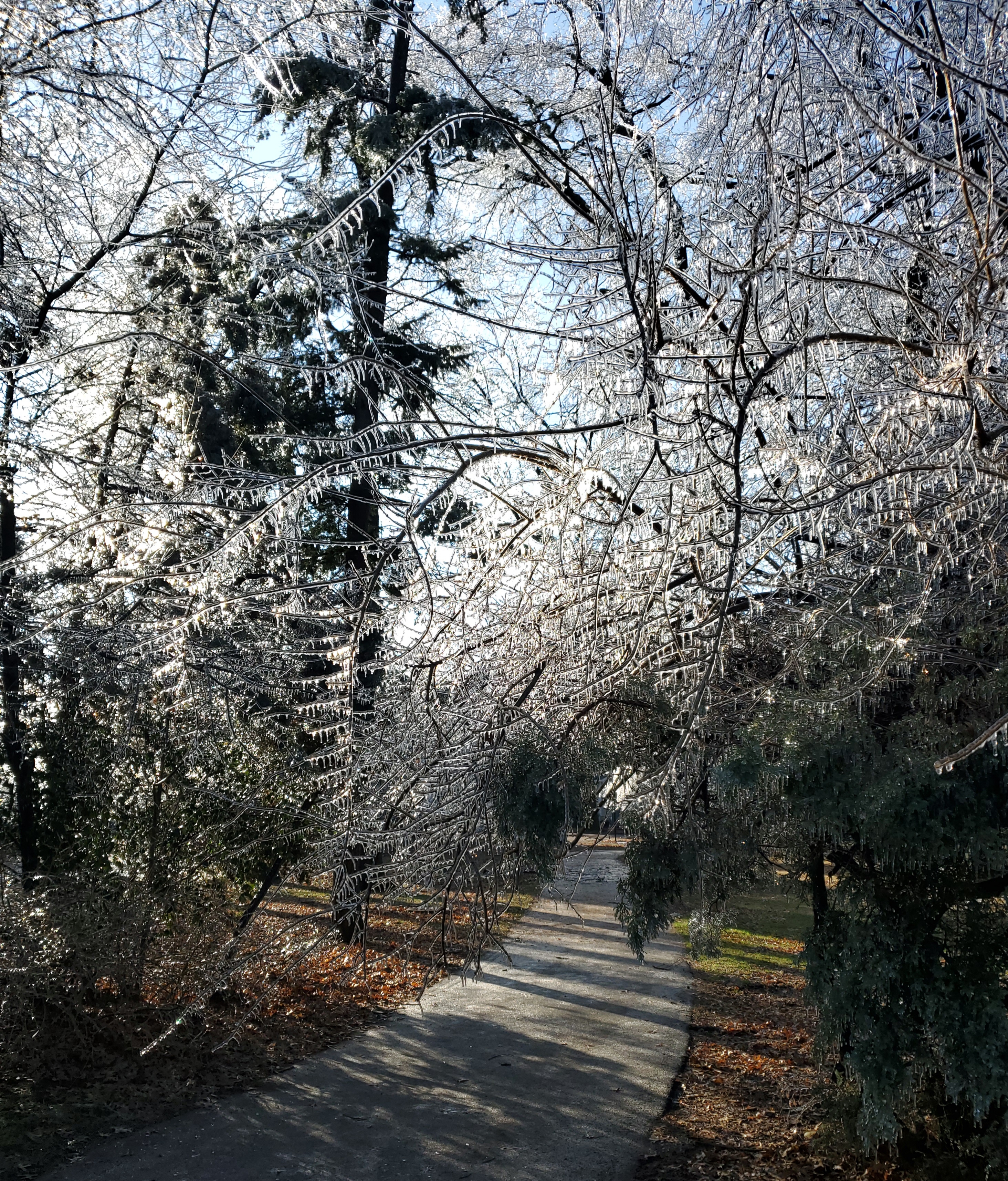 20191219_113352.jpg