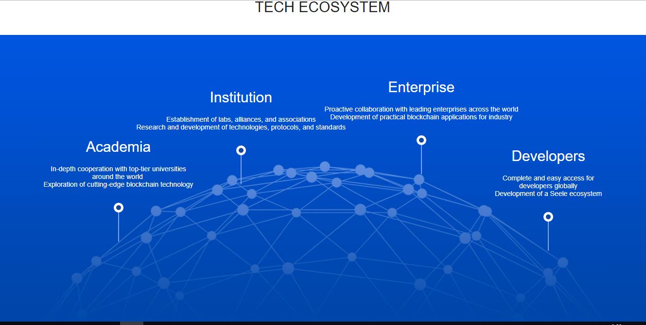 Developer global. Seele криптовалюта. Блокчейн интернет ценностей. Academic Standard Enterprise.