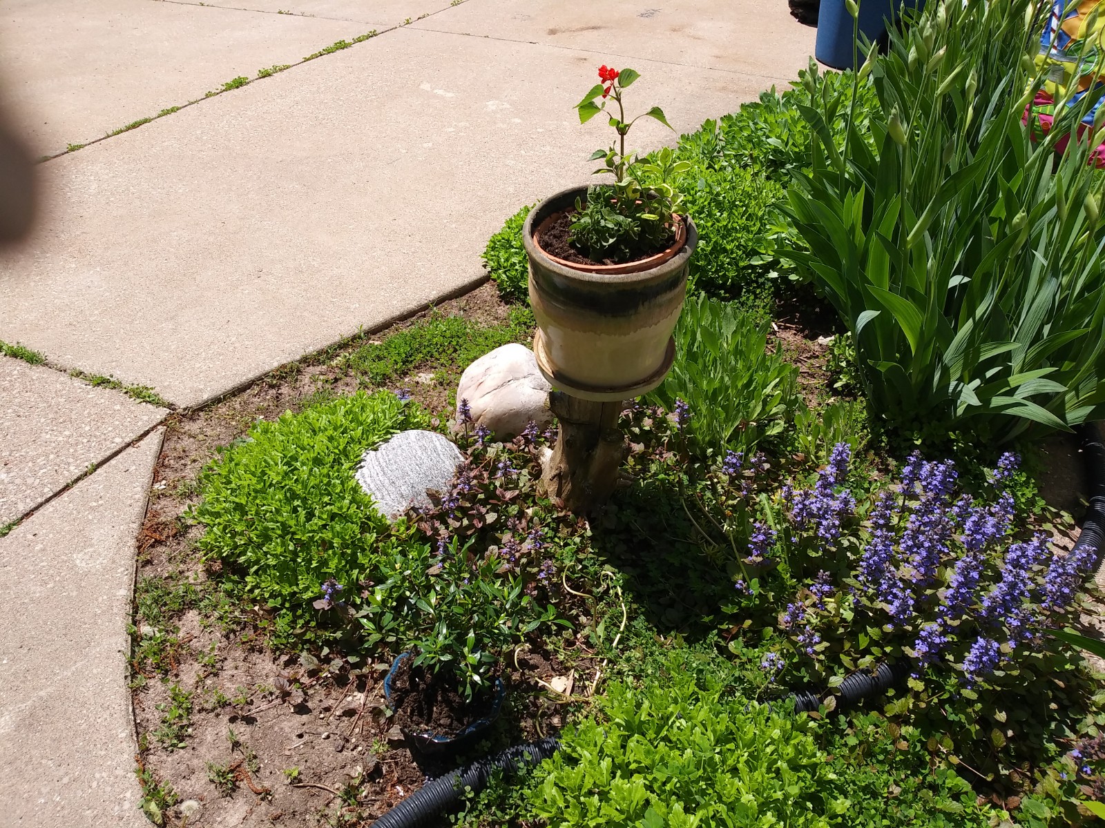 20190526_131828.jpg