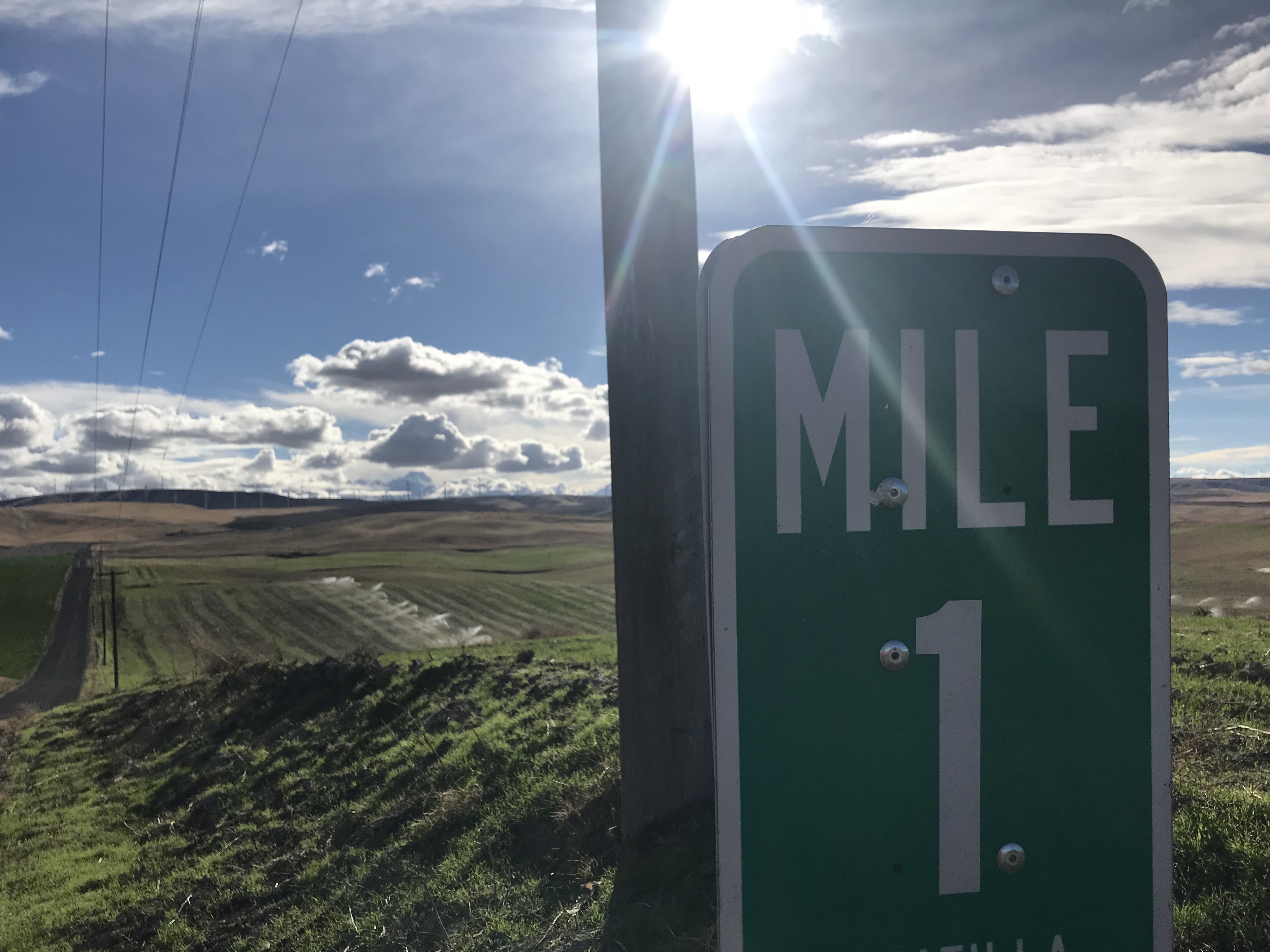 Splatts’ Smartphone Snaps