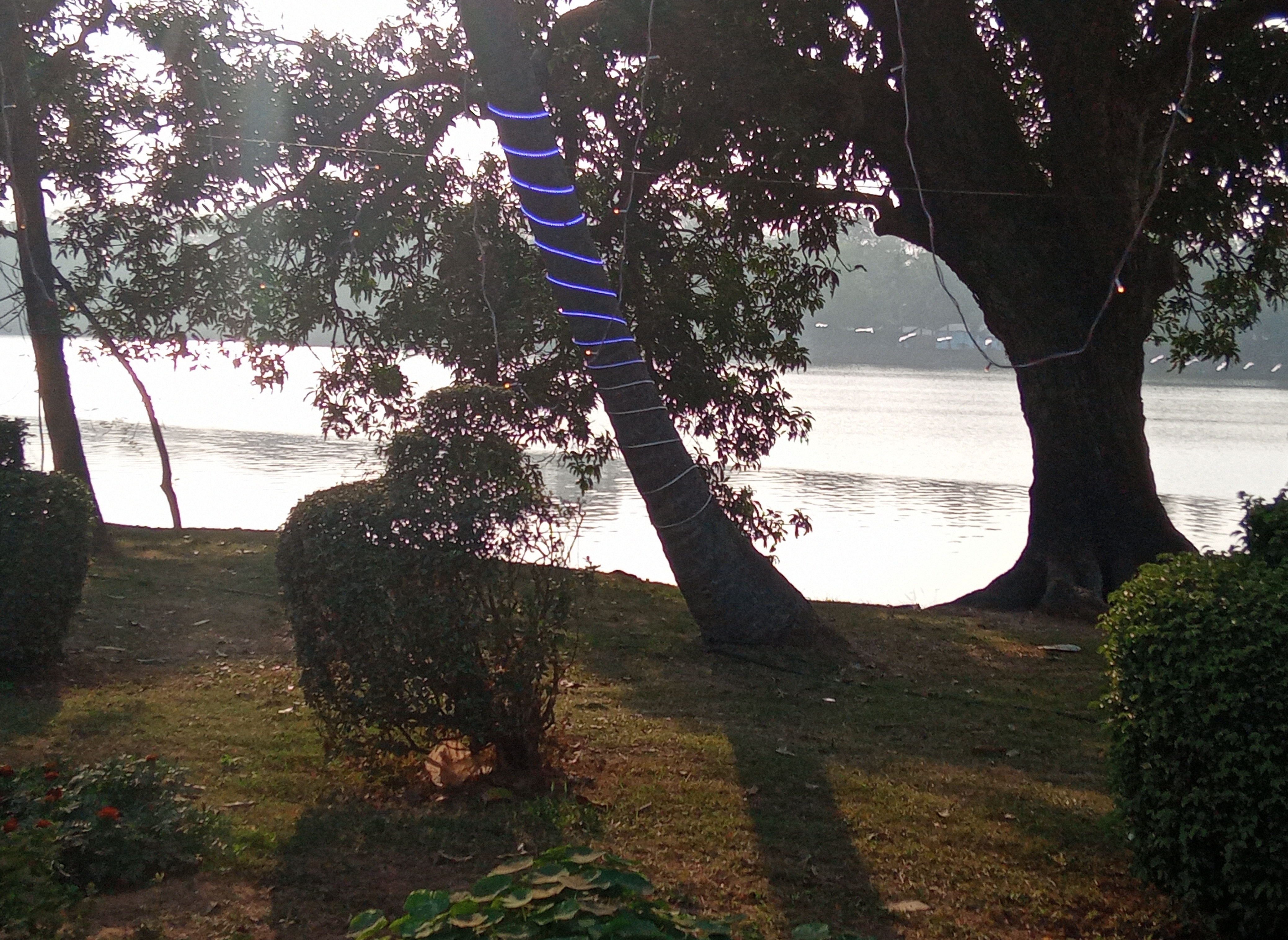 IMG_20250328_021114.jpg