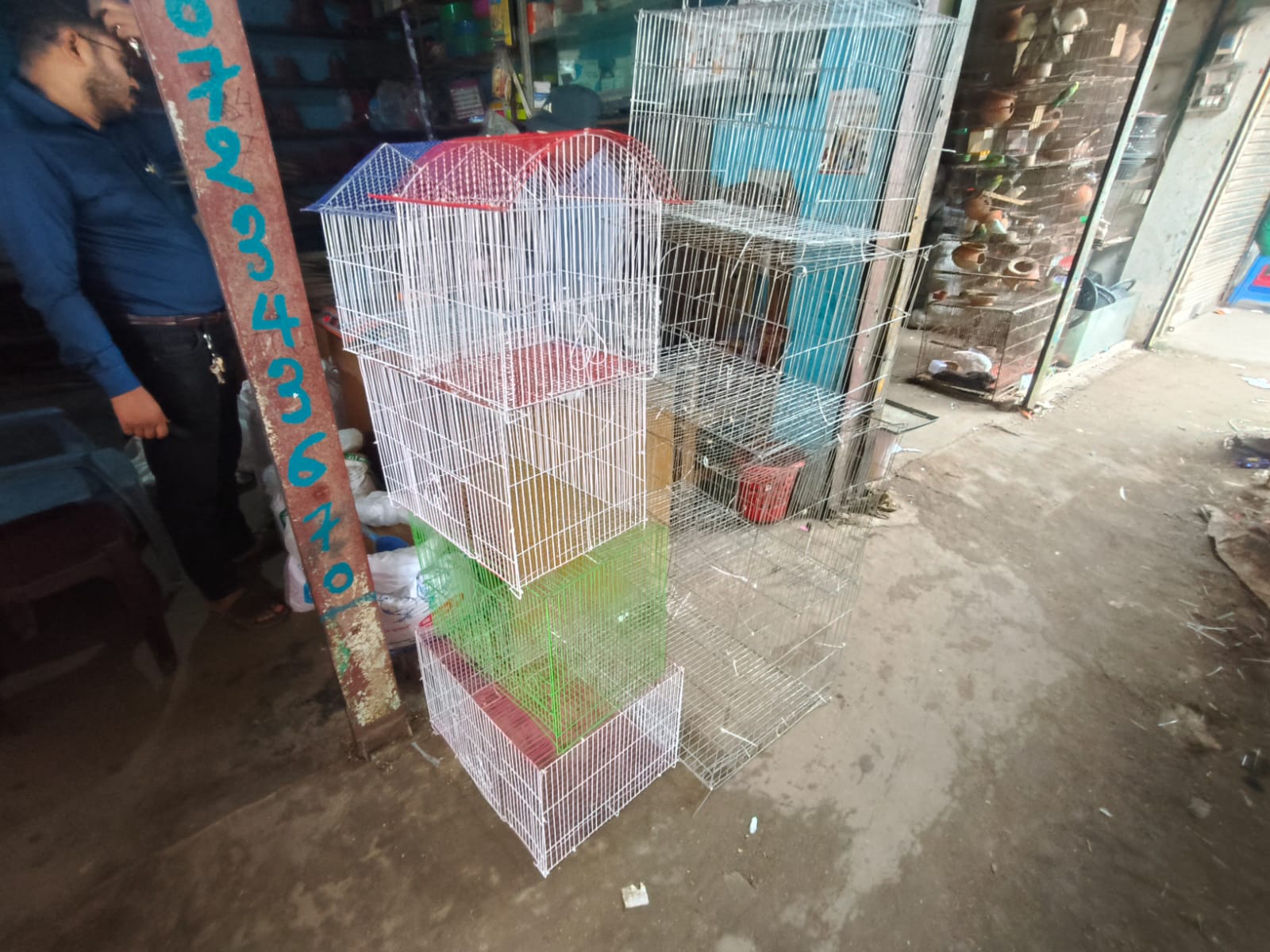 1000387796.jpg