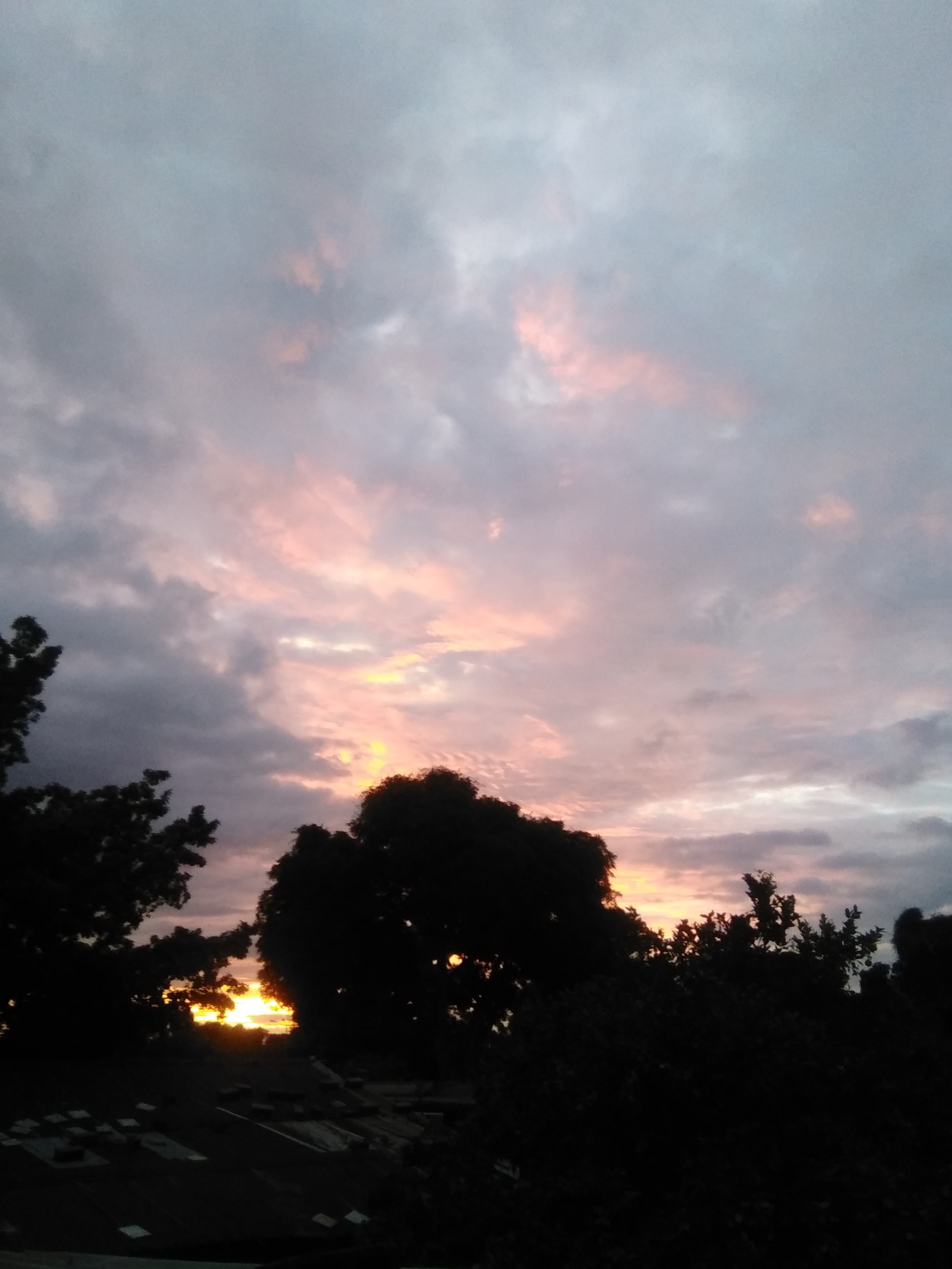 IMG_20210702_184226.jpg