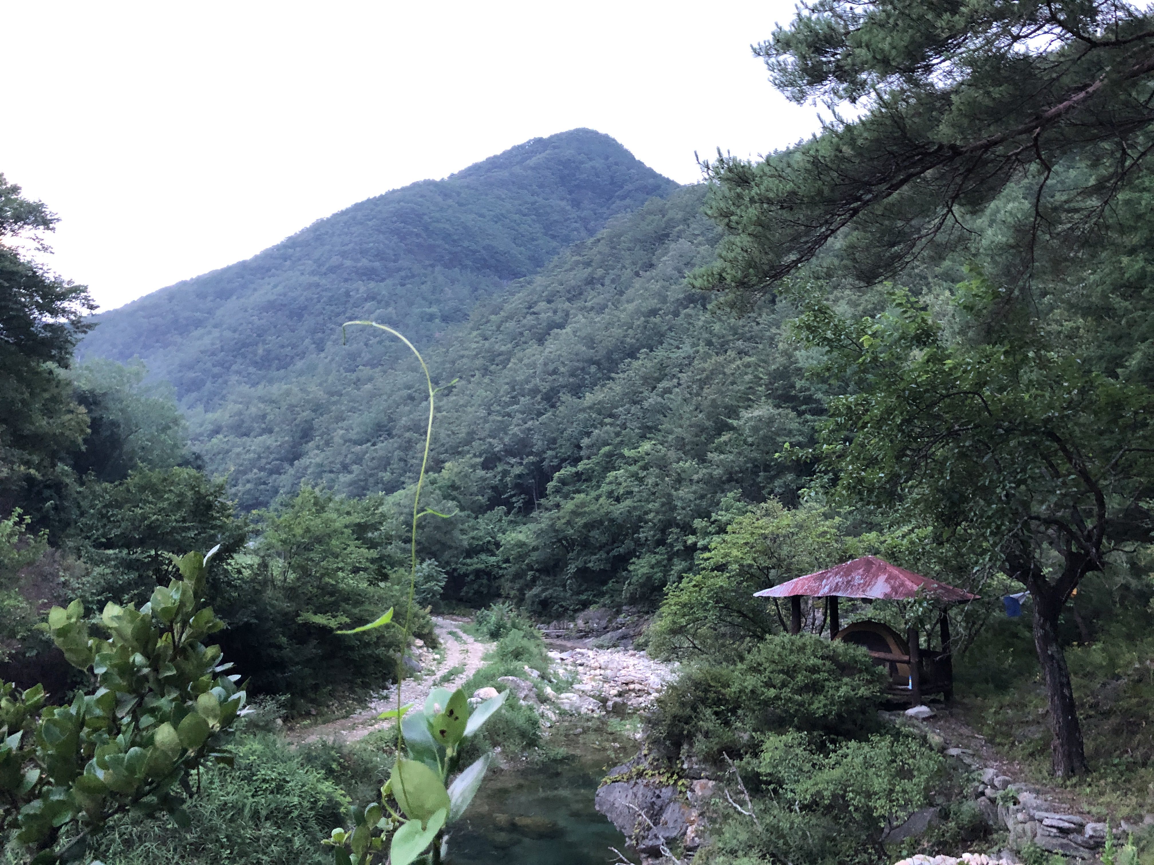 4300DA7E-002B-4319-814F-115B7149BF9A.jpeg